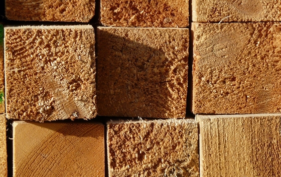 Zpracování a druhy dřeva